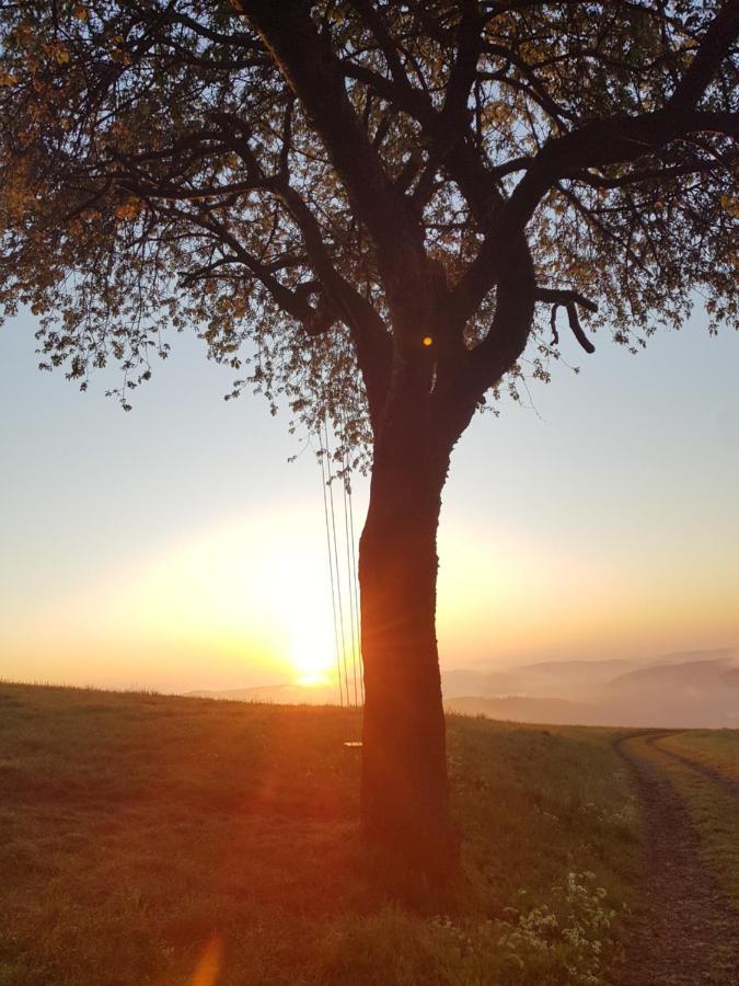 Sonnenschein am Rursee Simmerath Exterior foto