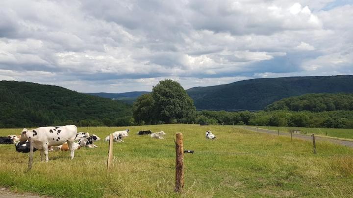 Sonnenschein am Rursee Simmerath Exterior foto